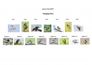 John Tait, AIPF, East Cork Camera Club