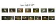 Anne-McGrath-AIPF