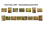 Kevin Day AIPF, East Cork Camera Club