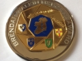 Brendan Walkin Medal