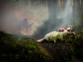 Death of Giselle, Michael O’Sullivan, Irish Photographic Federation