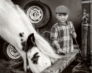 Monochrome Print Individual  Gold Medal -  Frank Condra - 'Boy and Pony' - Drogheda Photographic Club.jpg