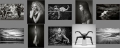 CreativePIC_mono_contact_sheet.jpg CreativePIC_mono_contact_sheet.jpg