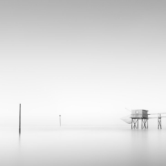 dcc_mono_02_maggy_morrissey_carrelet