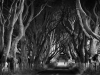 1-dark-hedges-tom-quilty-waterford