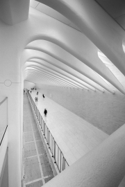 Monochrome Print - HM - Girto Miko - I'm Here Without You - Athlone Photography Club