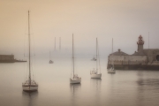 Gold Medal Colour - Stuart Bould - Harbour Mist - Celbridge Camera Club
