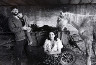 Silver - Des Clintion - Drogheda Photographic Club - Roma Family