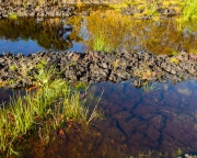 templetouchy-peatland-2