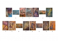 Marian Heavey AIPF, Mullingar Camera Club