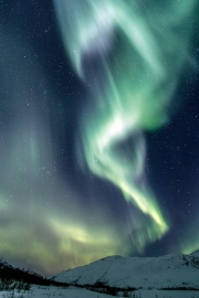 Non Advanced - Gold - Jenny Benoist - The green lady dance - Dublin Camera Club