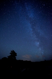 Non Advanced - Gold - Christopher Fitzgerald - The Great Rift - Killarney Camera Club