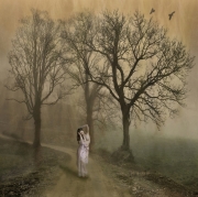 Advanced Gold - Bill Power - Cork Camera Group - A Secret Place