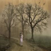 Advanced Gold - Bill Power - Cork Camera Group - A Secret Place