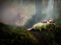Advanced Judge - Michael O'Sullivan - Cork Camera Group - Death of Giselle