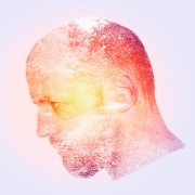 Non Advanced HM - Niall Punch - Blarney Photography Club - Deep thoughts