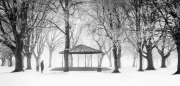 Advanced Gold - Tony Mc Donnell - Dundalk Photographic Society - A Winter Stroll in the Park