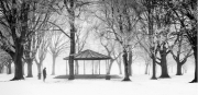 Tony Mc Donnell - Dundalk Photographic Society - A Winter Stroll in the Park - North East