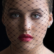 Projected Theme - Non-Advanced First - Micheline Murphy - She Weaves a Web - Portlaoise Camera Club