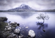 0912 Mark English Dundalk PS Lake Placid JUDGES MEDAL