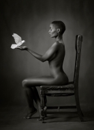 1274 Ross McKelvey Catchlight CC Ebony Dove ADV GOLD