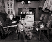 1336 Des Clinton Drogheda PC Annie GOLD