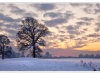 130_Snowy-Sunset
