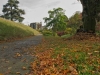 146_Autumn-in-Birr