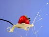 162_Strawberry-Splash