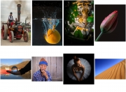 1.-Naas-Photography-Group_Shield-2019