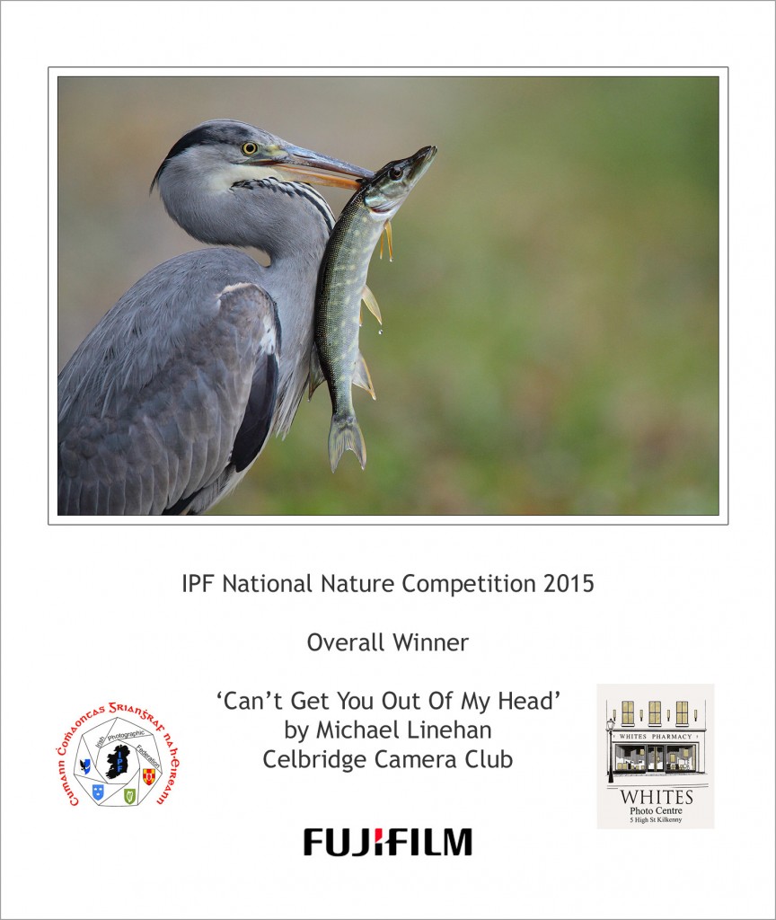 nature winner 2015
